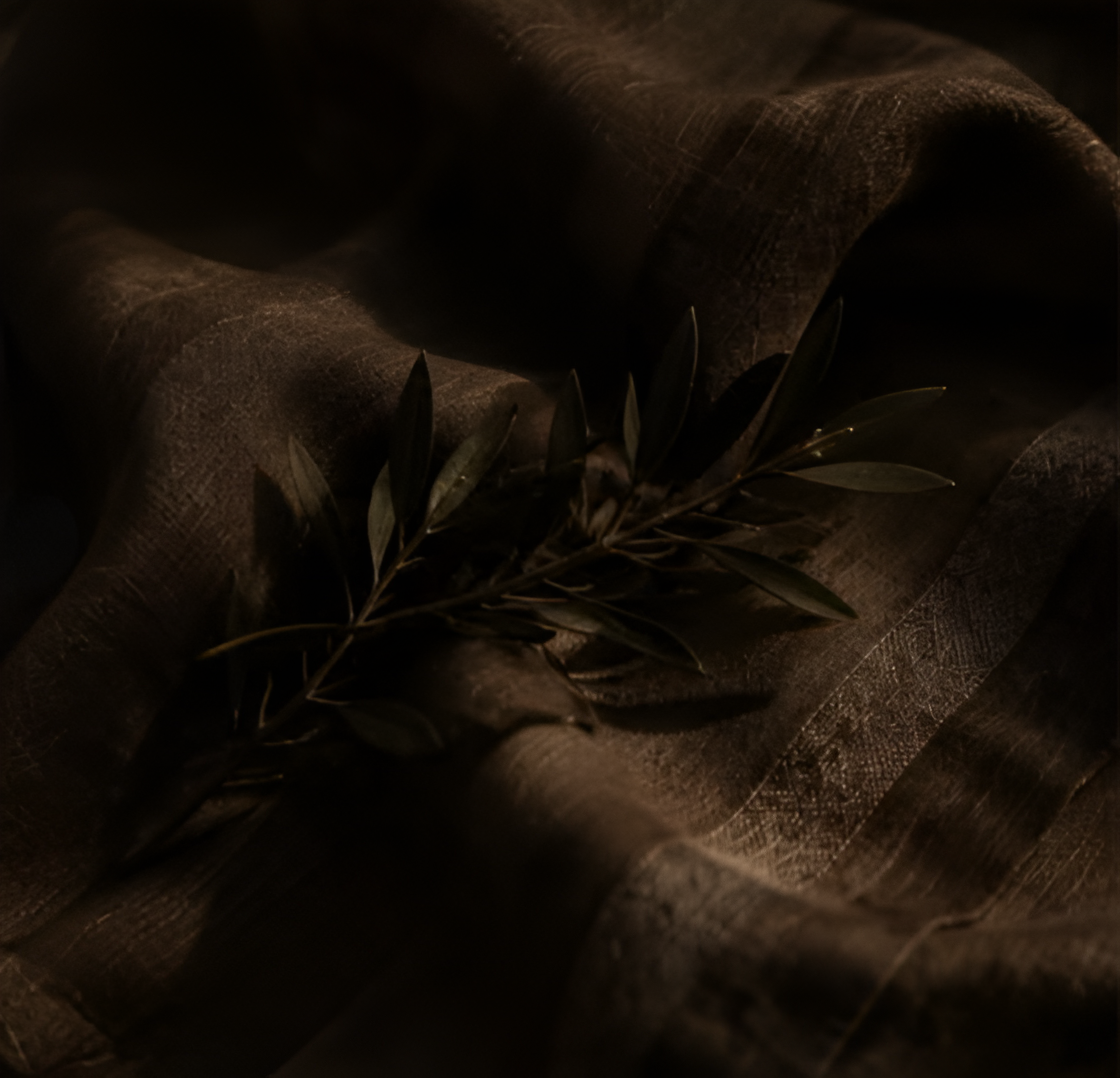 The Return of Eastern Elegance - Qadr Journal